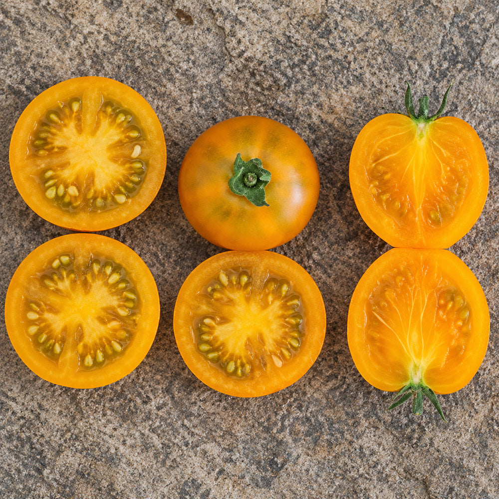 66 Dwarf Soul Patch Tomato