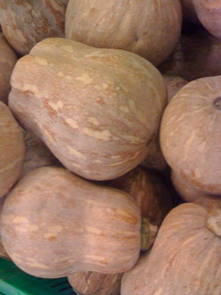 Honey Aroma Mini Pumpkin
