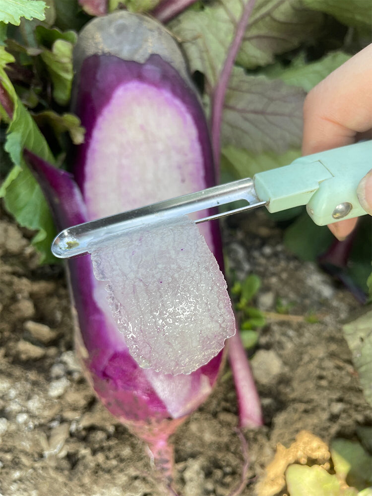 Rock Sugar Heart Purple Skin Fruit Radish