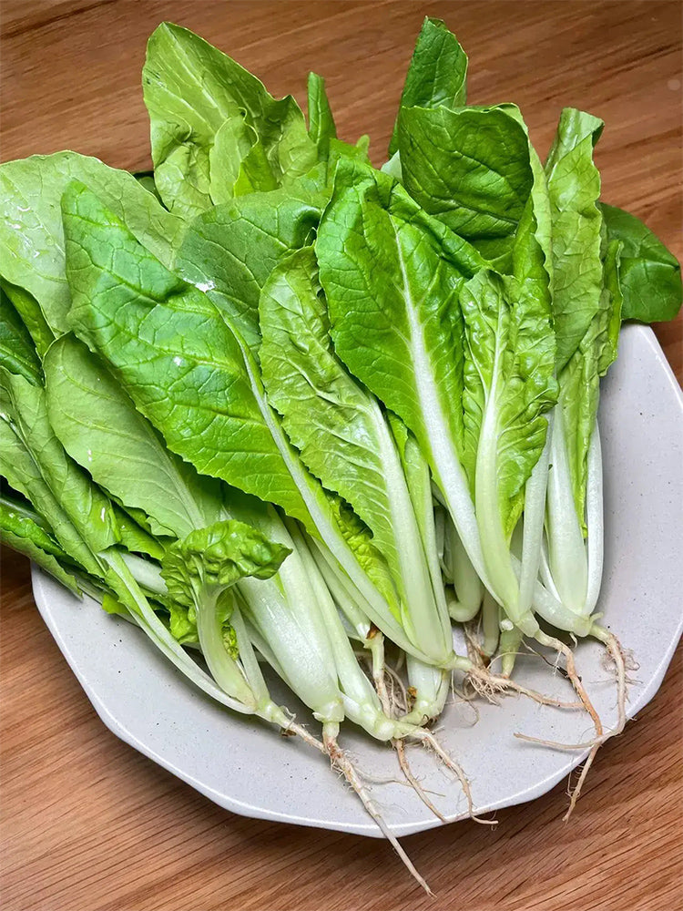 White-Stemmed Bok Choy