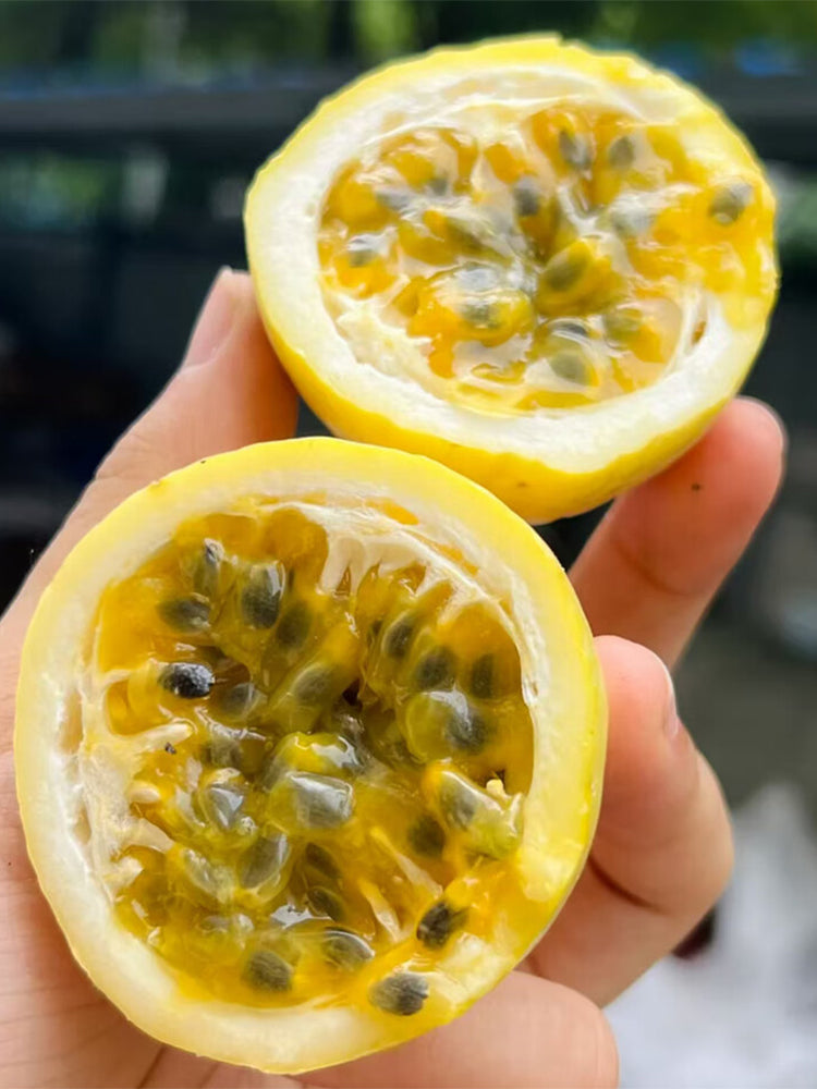 Mixed Purple & Yellow Passion Fruit
