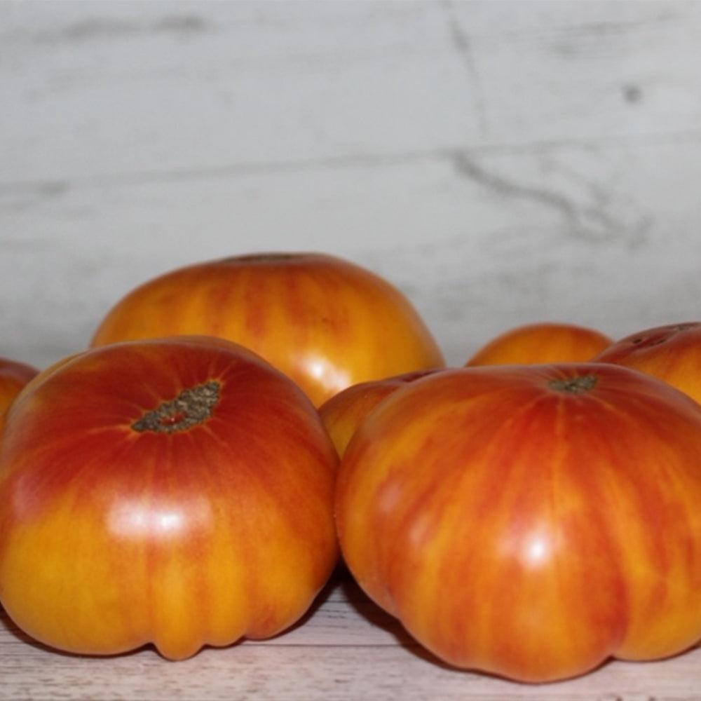 676 Marzipan Gold Tomato