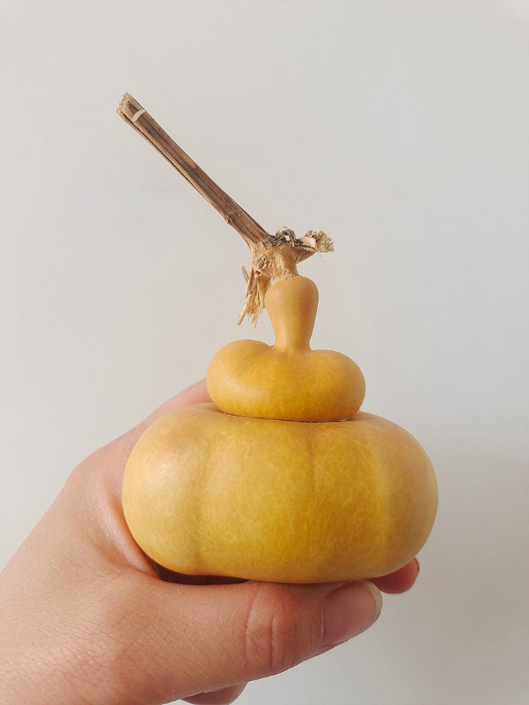 Money Bag Eight Treasures Gourd
