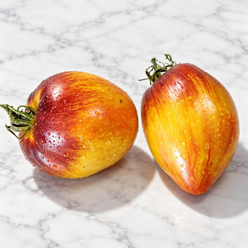 1148 Sofia's Ginger Comet Tomato
