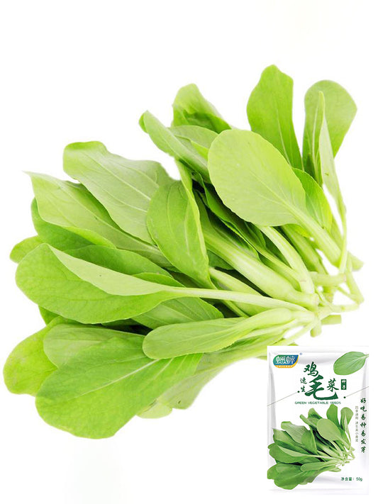 Tender Baby Bok Choy