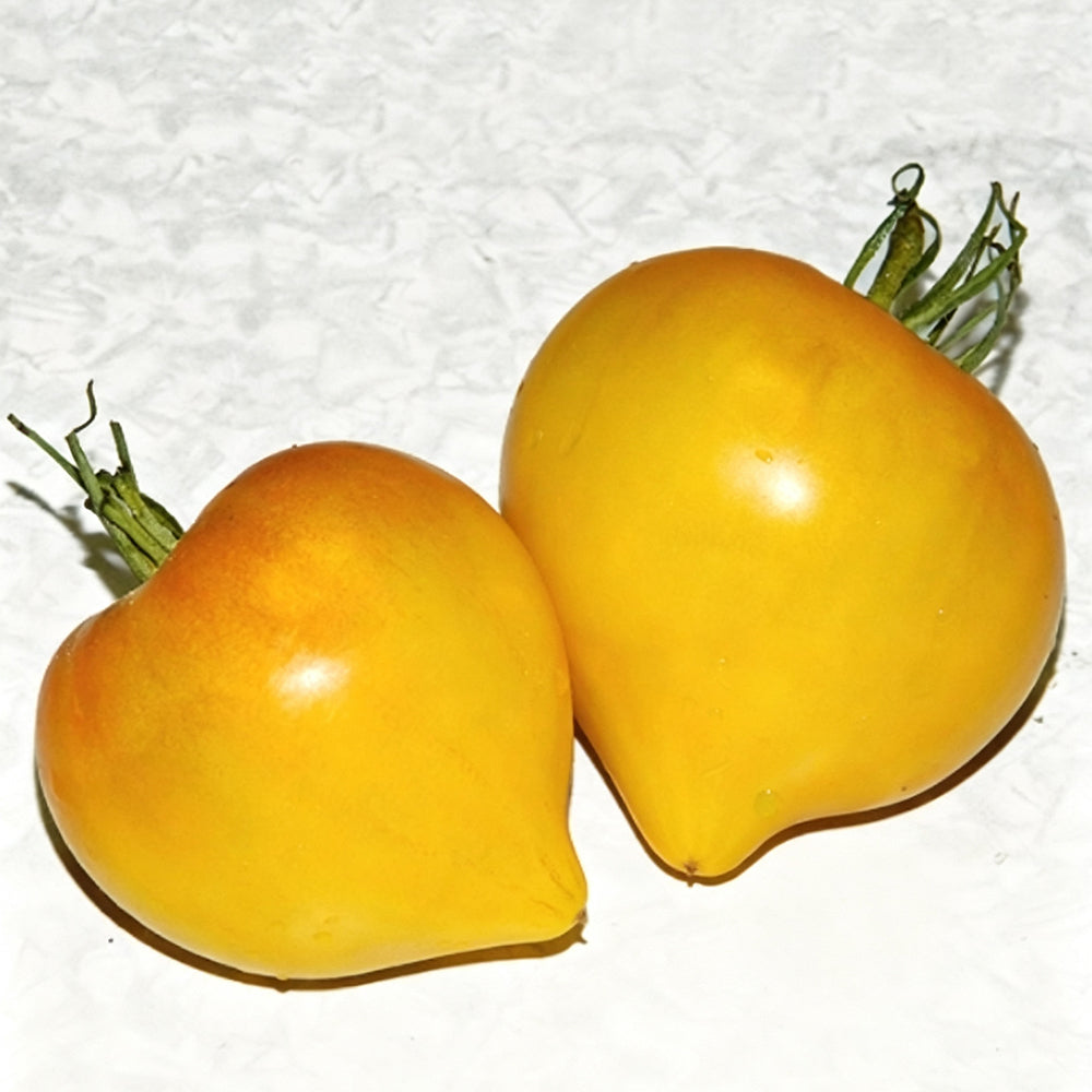 639 Anna Banana Russian Tomato