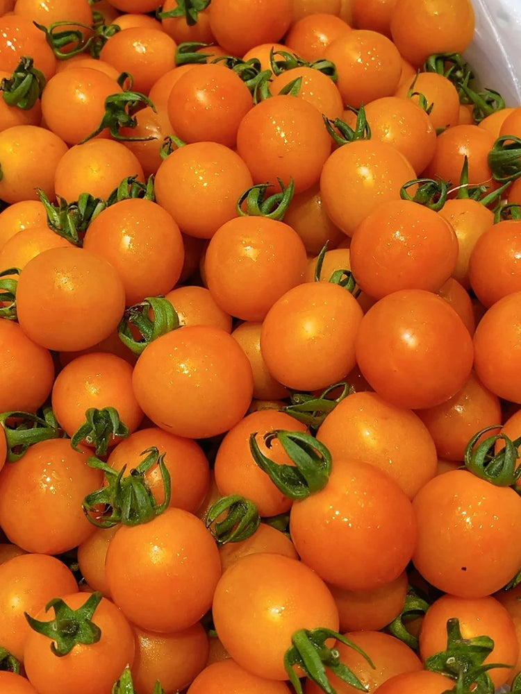 Golden Emperor Cherry Tomato