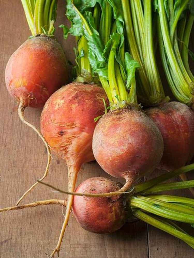 Yellow Beetroot