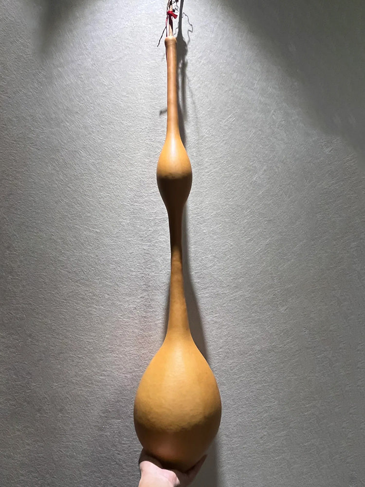 Wild Goose Neck Gourd