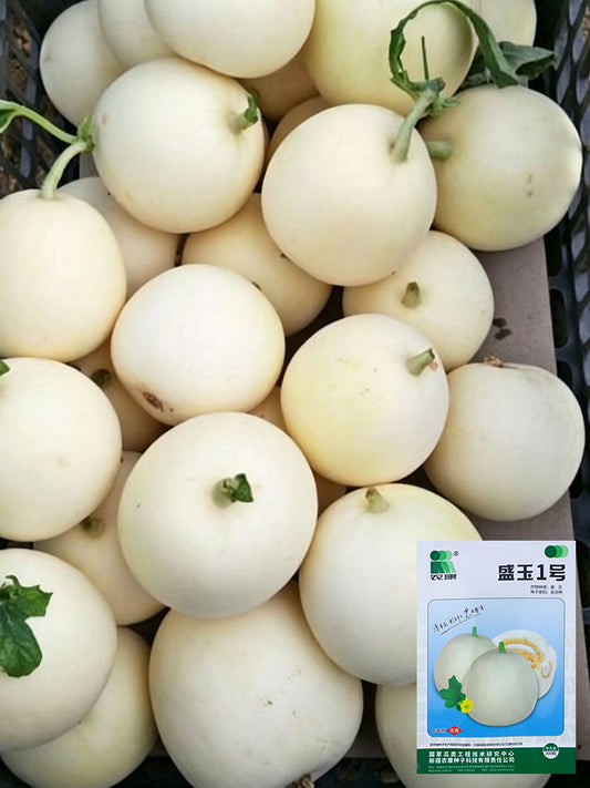 Shengyu No.1 F1 Melon