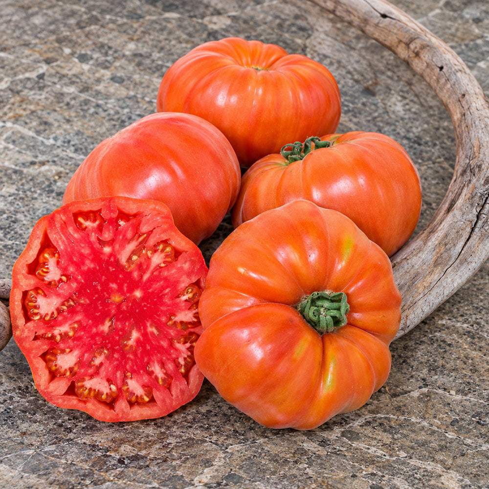 236 ABRIKOS Tomato