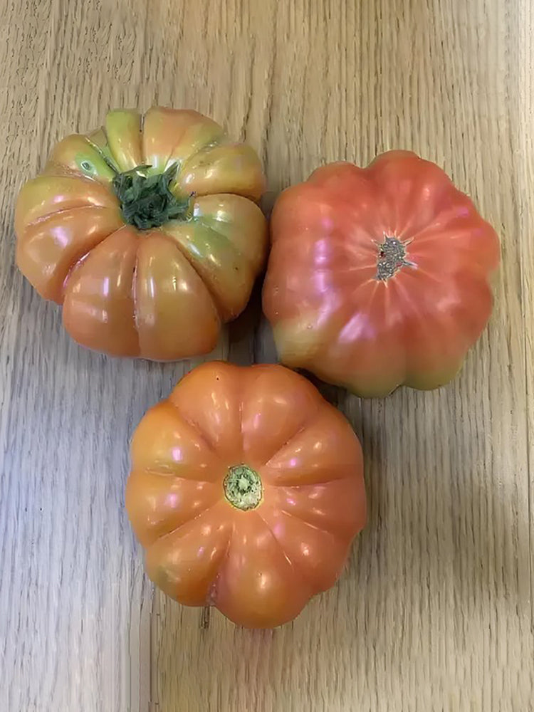 'Dongfanghong' Tomato