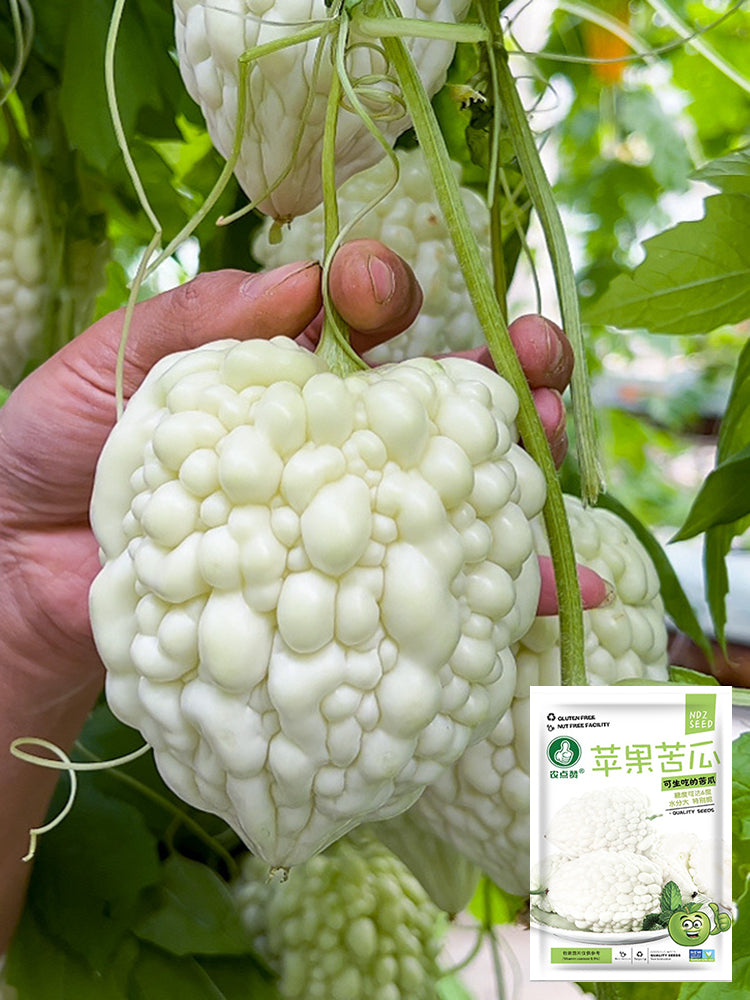 Apple Bitter Gourd