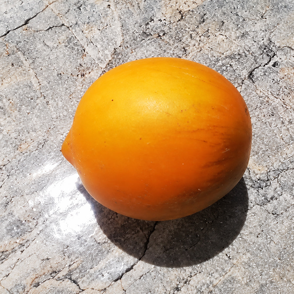 183 Allure Micro Dwarf Tomato