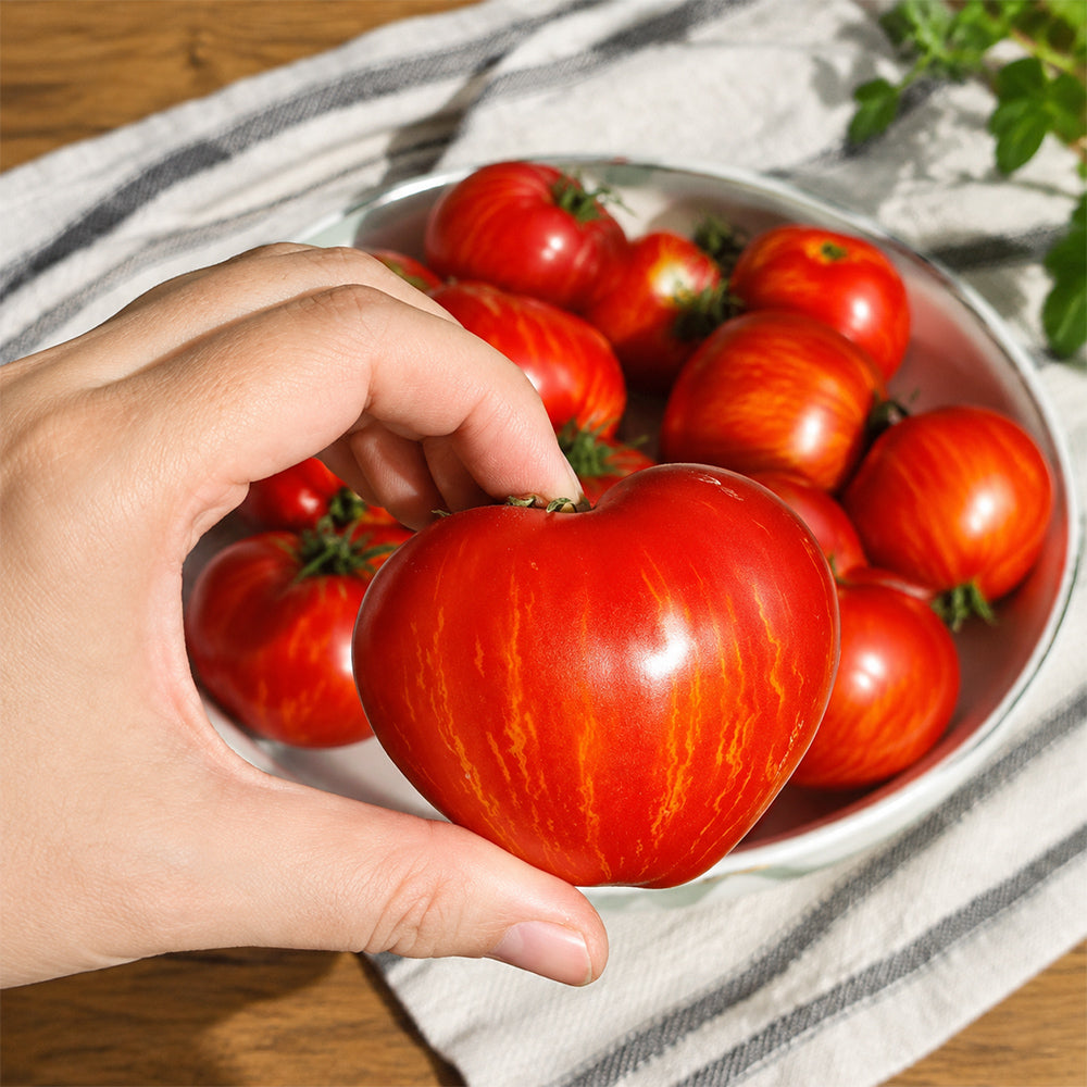 167 Dwarf Speckled Heart Tomato