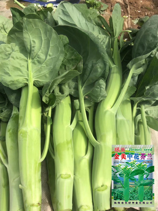 'Jiemei Jinmei Zhonghua' Chinese Kale