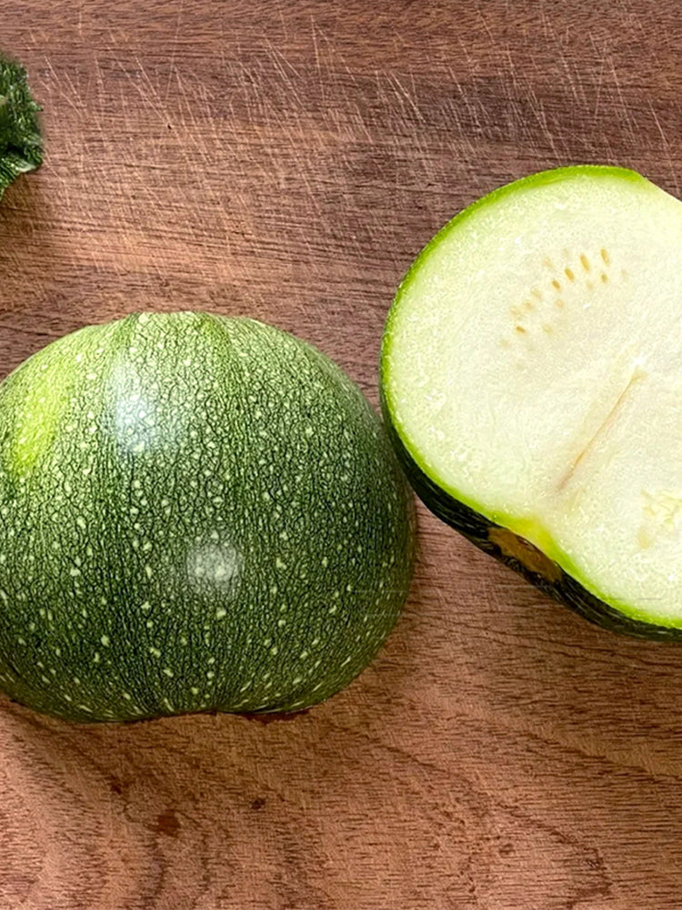 Shengfeng Dark Jade Zucchini