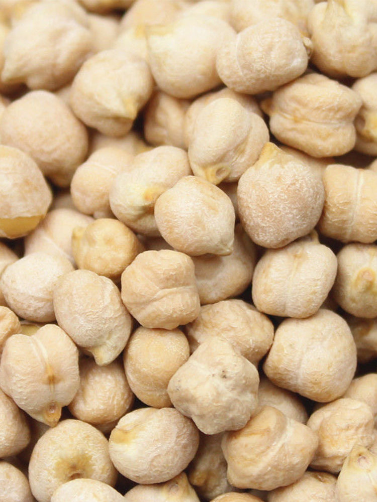 Kabuli Chickpea