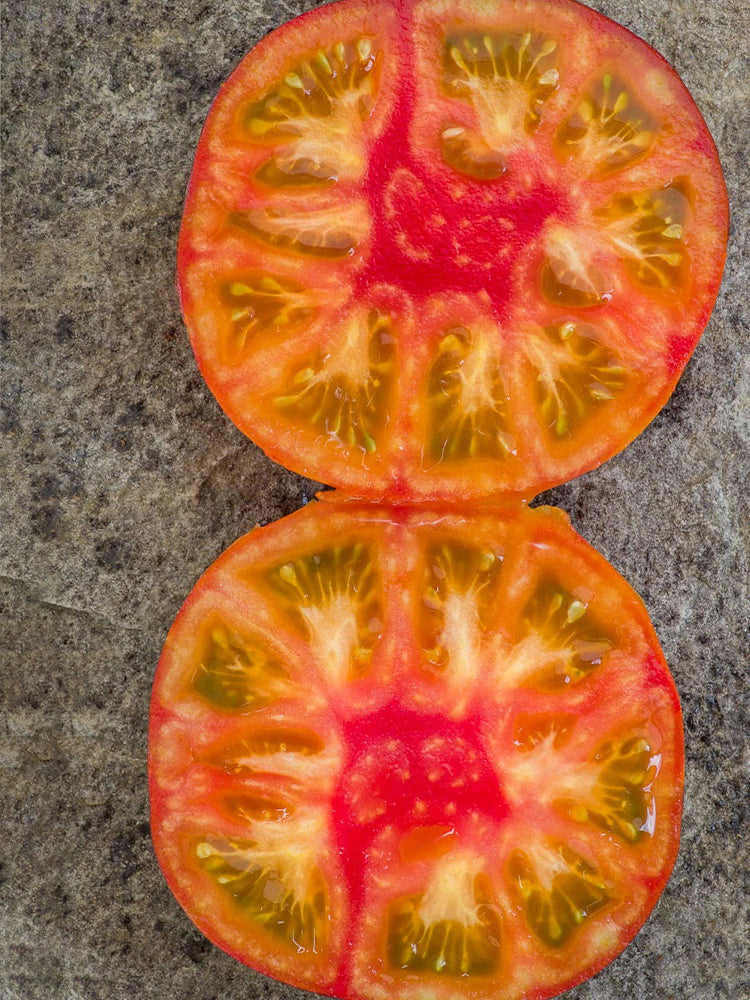 944 P20 Beauty King Tomato