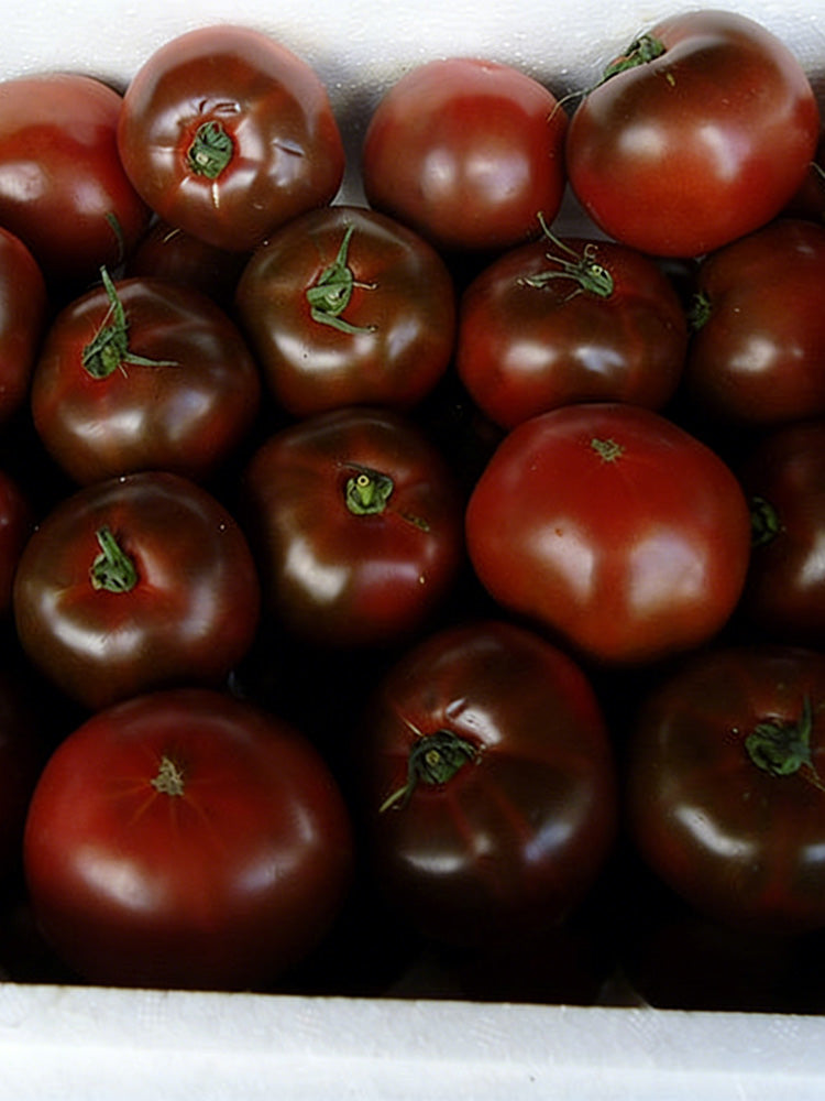Chocolate Tomato