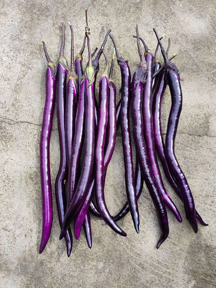 Hangzhou Red Eggplant
