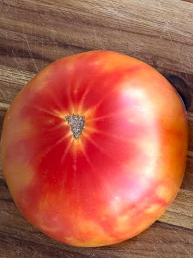 Northern Lights Tomato