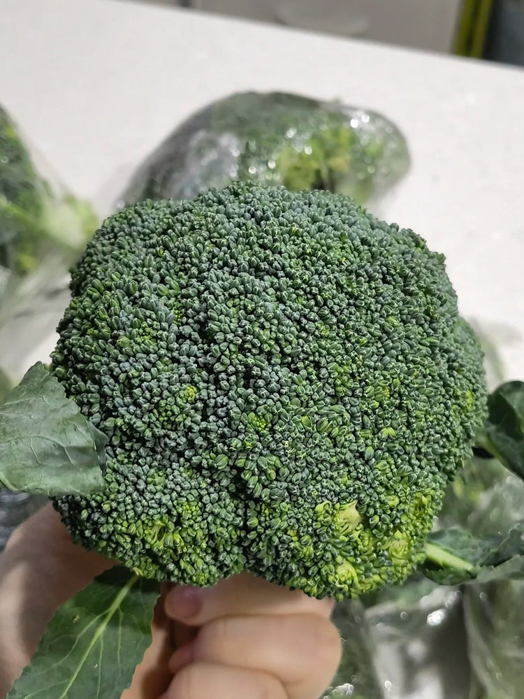 GreenVigour 60 Broccoli
