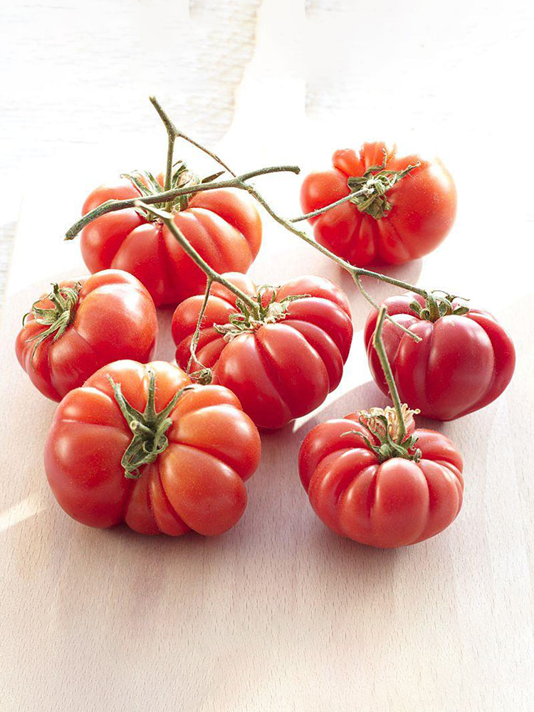 'Dongfanghong' Tomato