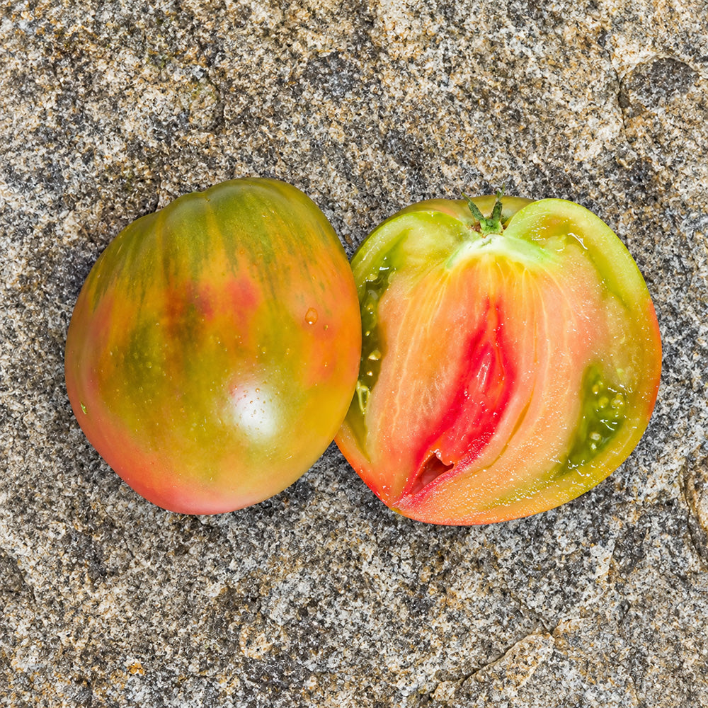341 Taiga Tomato