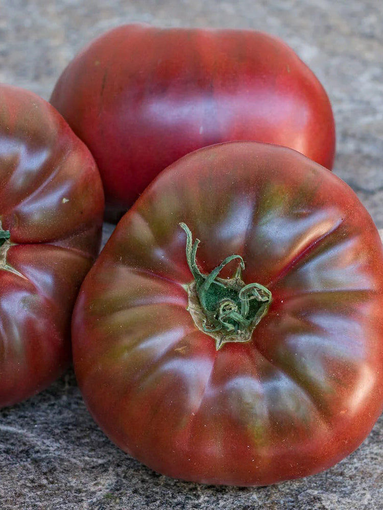 851 Roger Z Tomato
