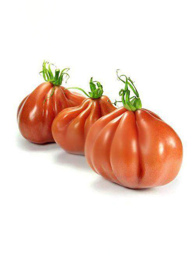 CORAZON Fleshy Tomato