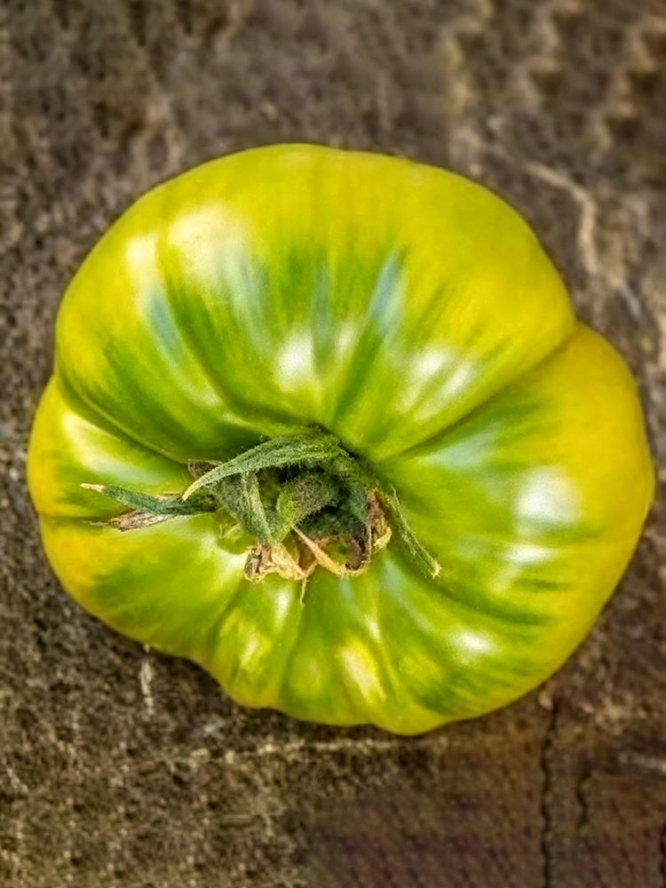873 Helarios Green Tomato