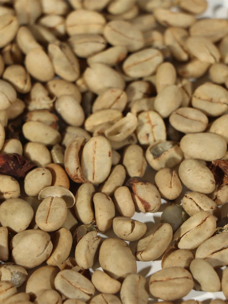 Yunnan Pu'er Catimor Parchment Coffee