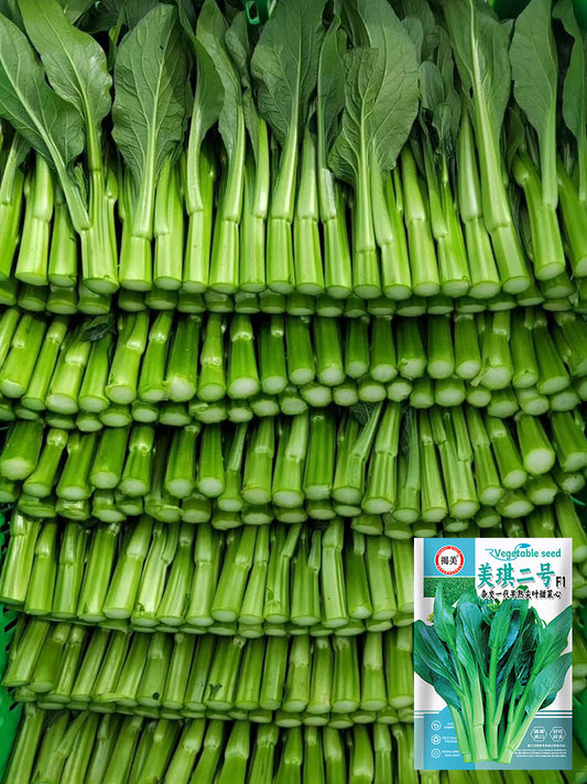 Meiqi No.2 Sweet Choy Sum