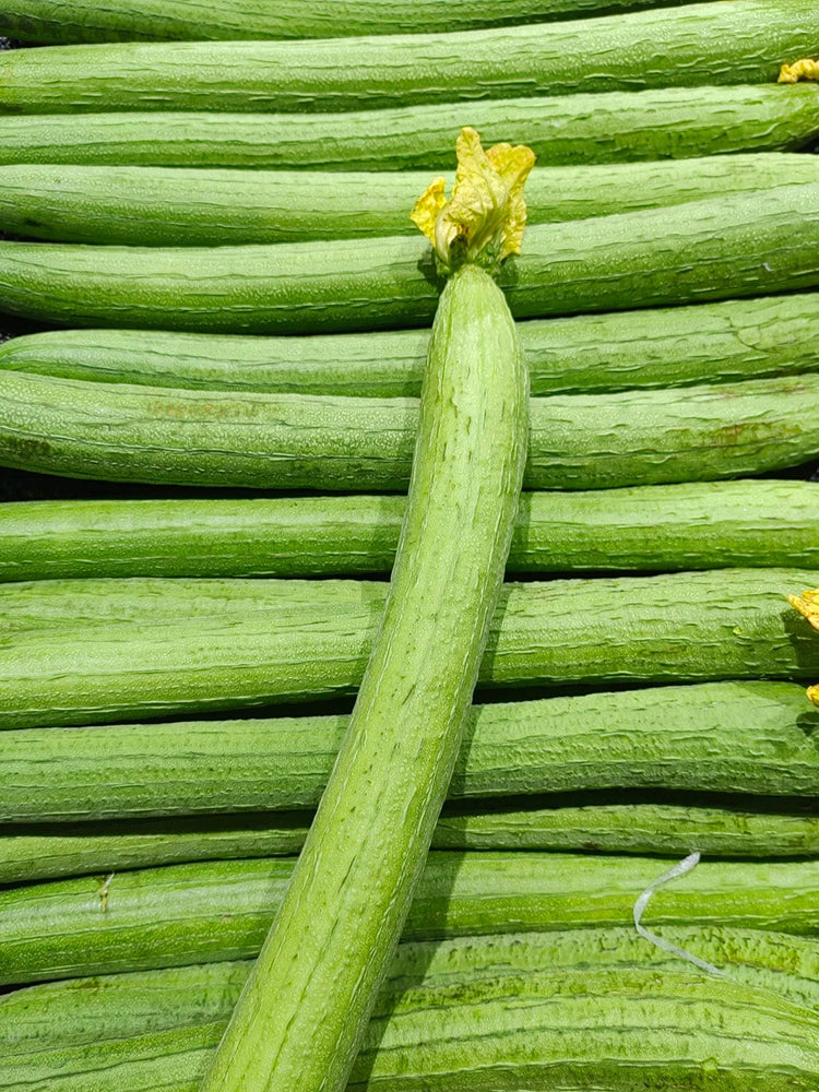 Spring-Autumn 915 Luffa