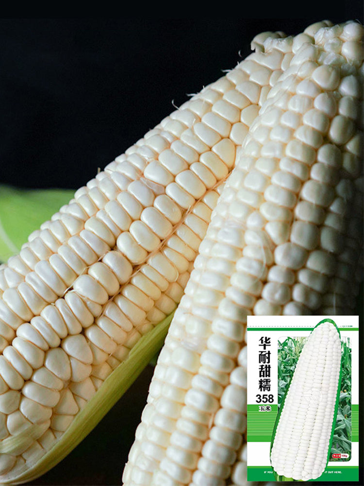 Sweet-waxy No.358 Corn