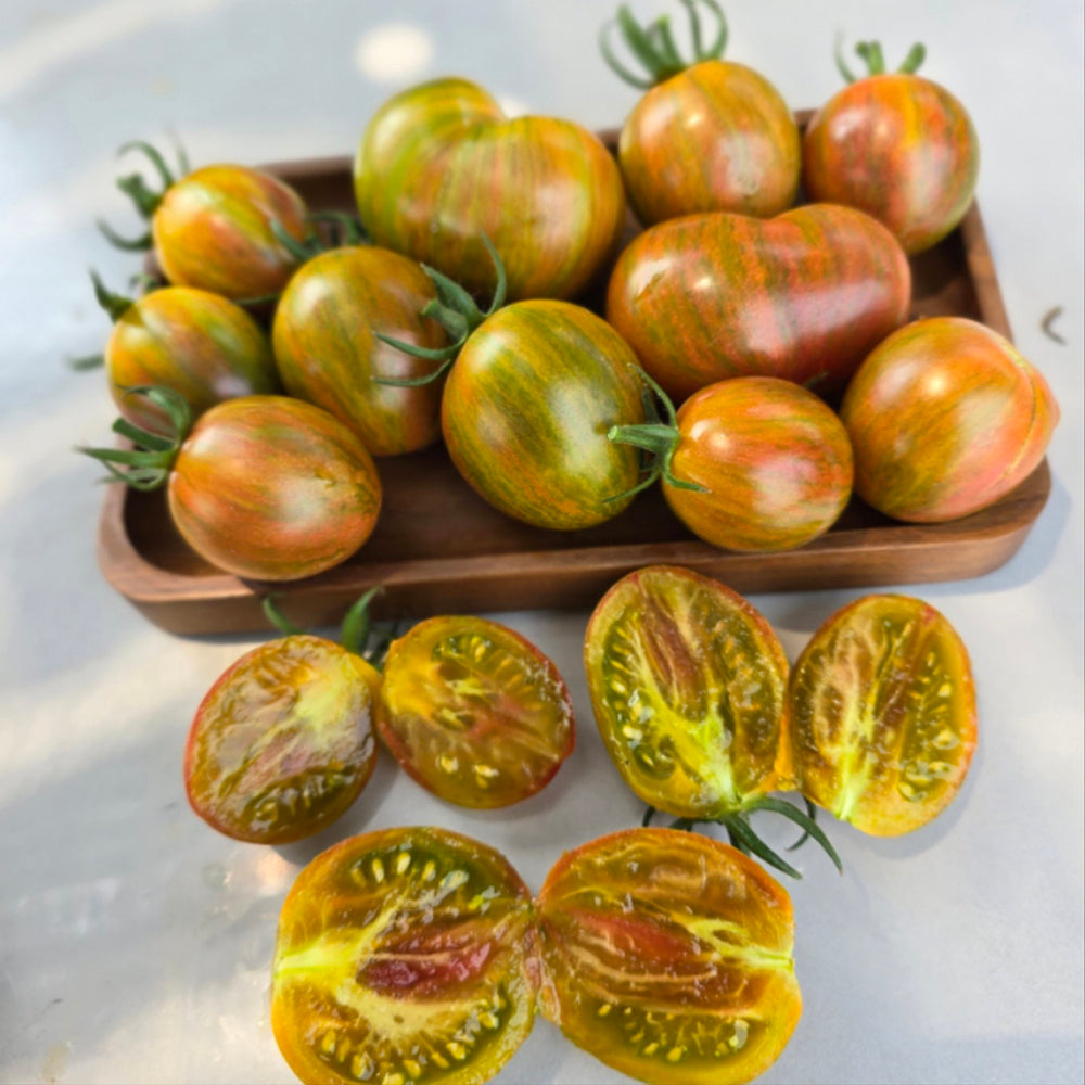 760 Tennessee Surprise Green Cream Round Tomato