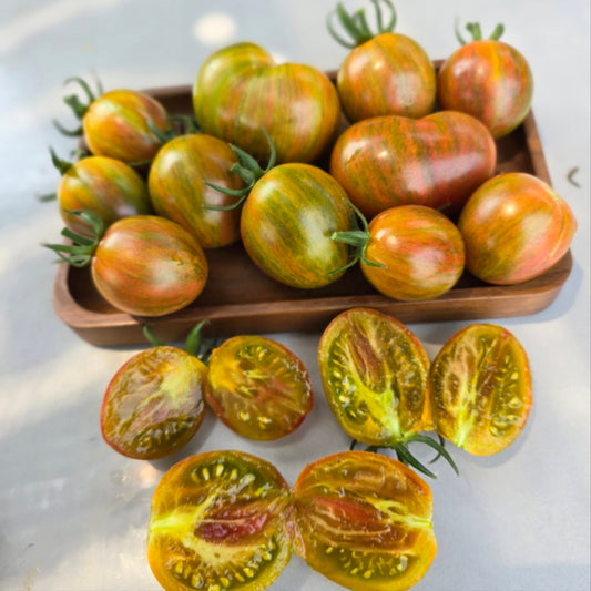 760 Tennessee Surprise Green Cream Round Tomato