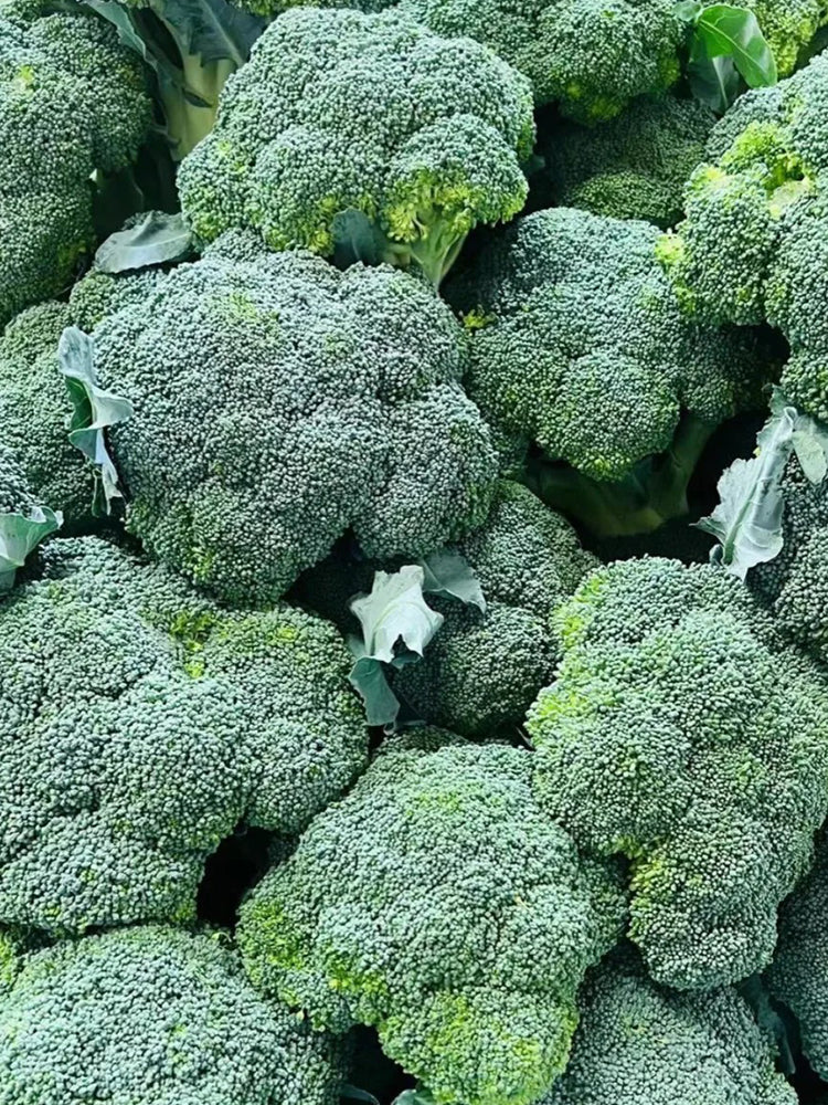 GreenVigour 60 Broccoli