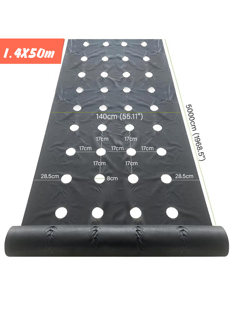 Degradable Weed Barrier Fabric with 8cm Holes