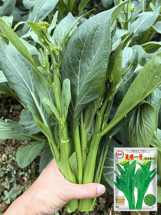 Meiqi No.1 Sweet Choy Sum