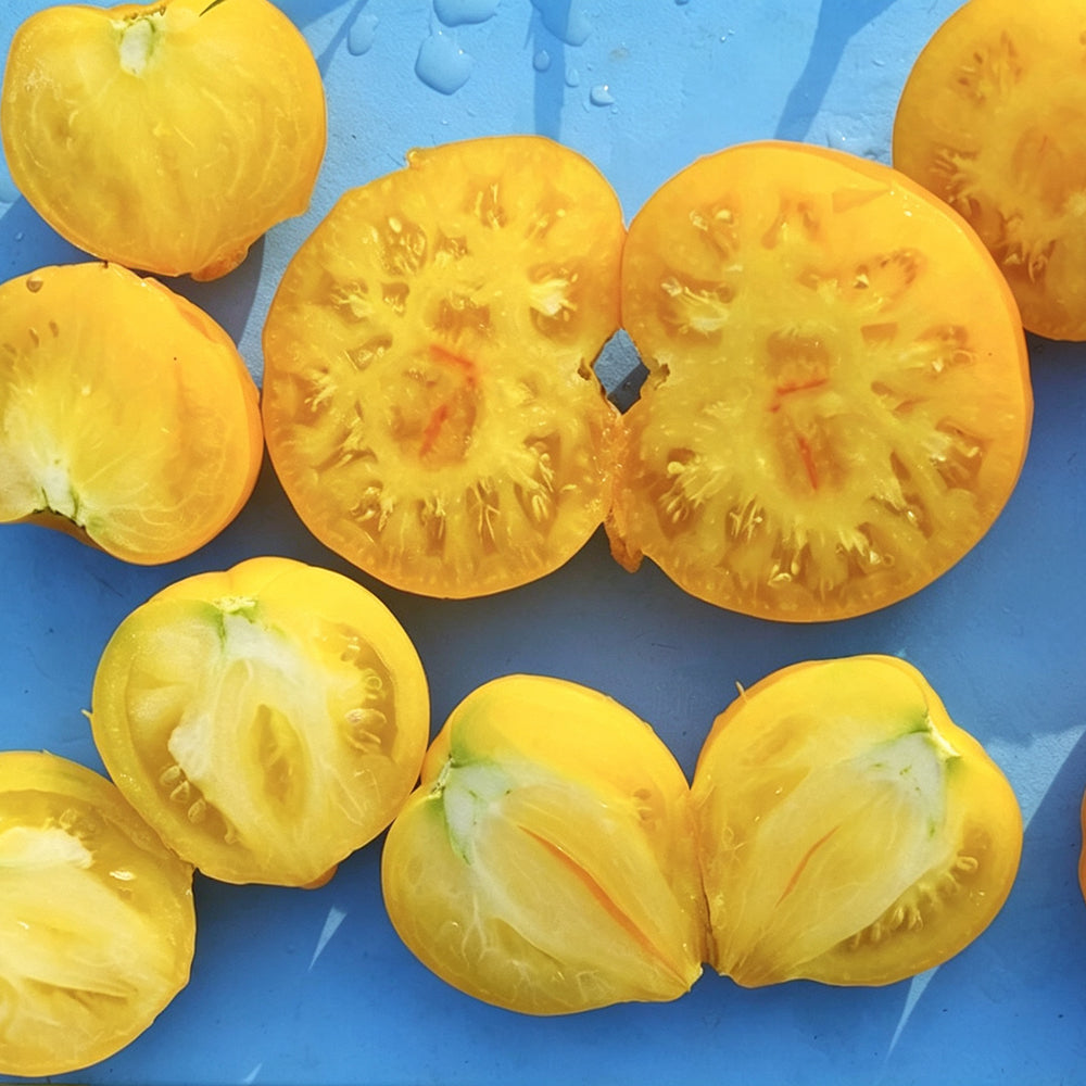 639 Anna Banana Russian Tomato