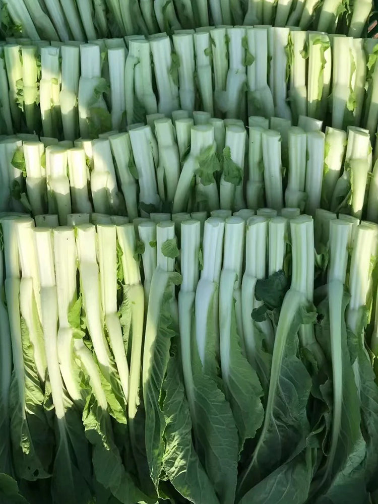 Jiemei Pak Choi Flowering Stem
