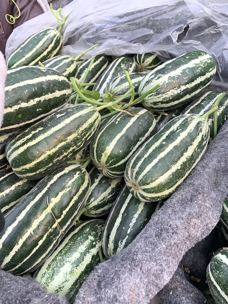 Shengmei No.1 F1 Melon