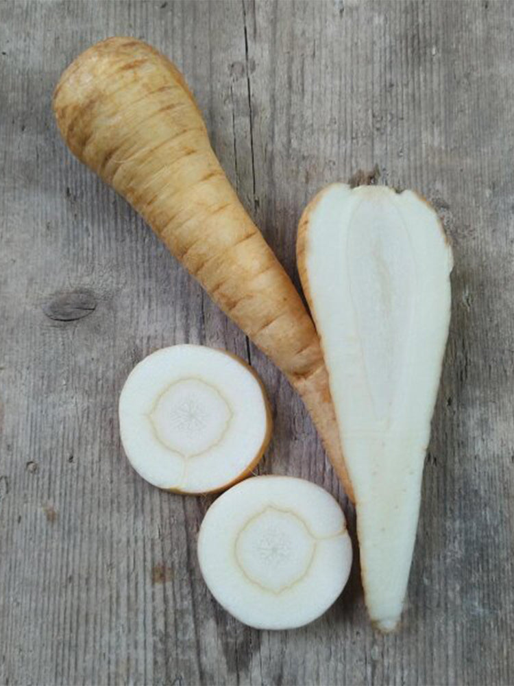 Parsnip