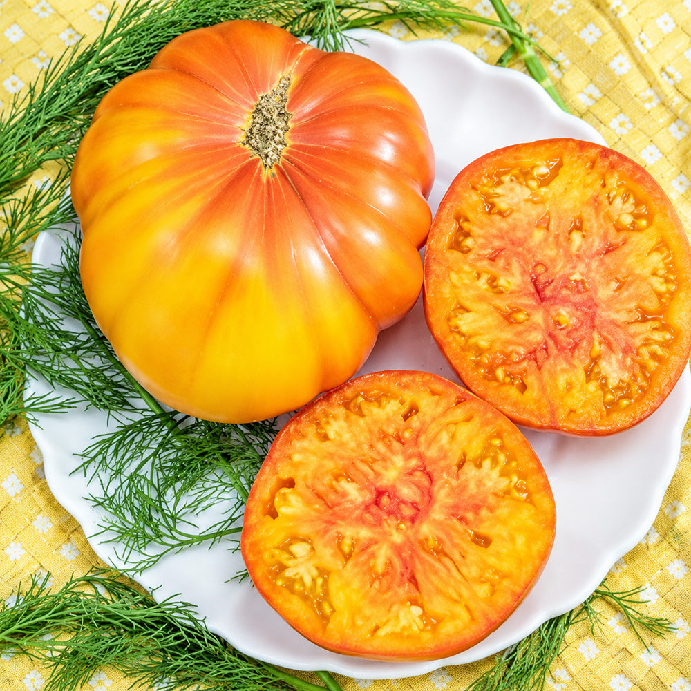 97 Honey Giant Tomato