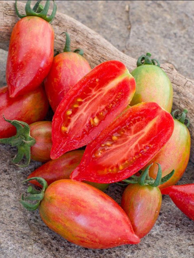 1016 Sweet Icicle Tomato