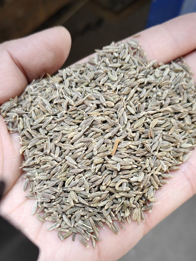 Cumin