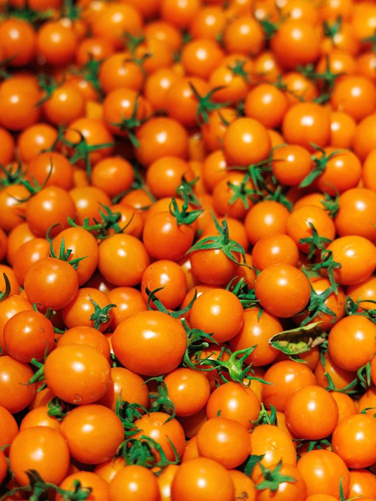 Golden Emperor Cherry Tomato