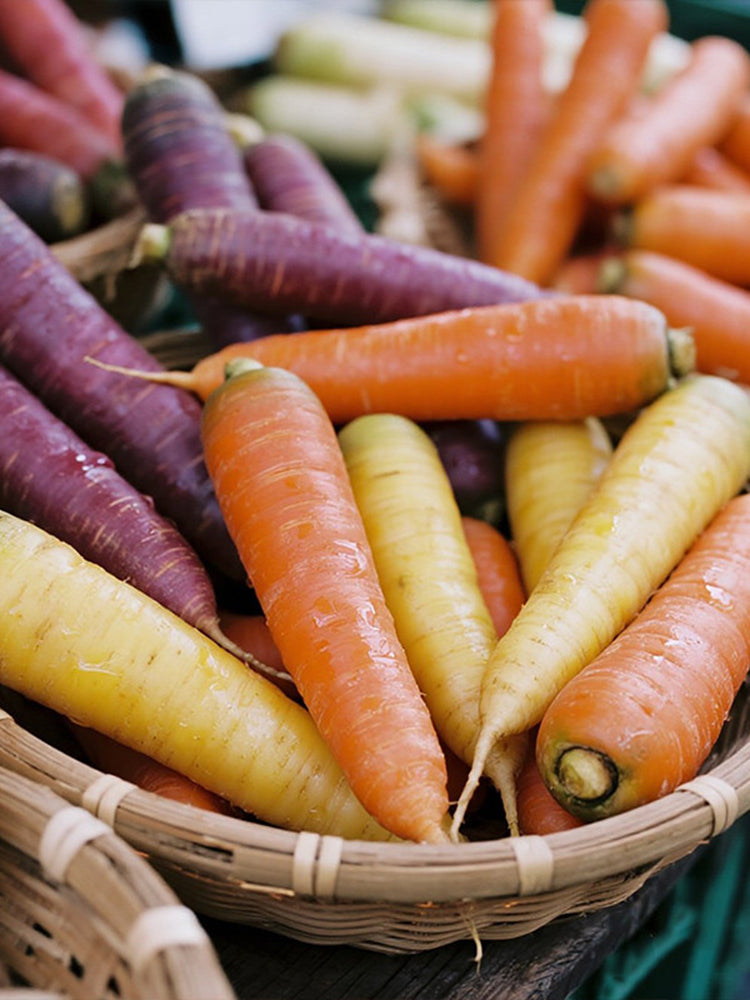 Rainbow Carrot
